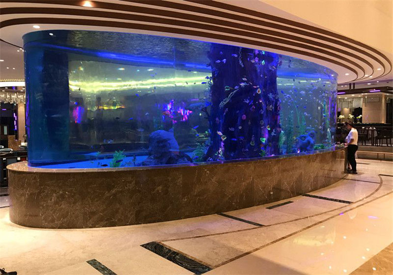 Seawater ornamental fish tank
