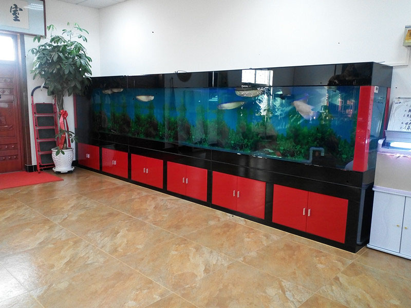 Seawater ornamental fish tank