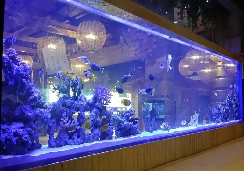 Aquarium